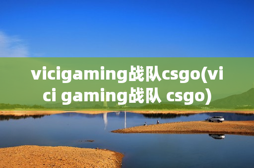vicigaming战队csgo(vici gaming战队 csgo)