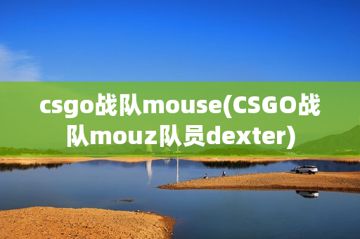 csgo战队mouse(CSGO战队mouz队员dexter)