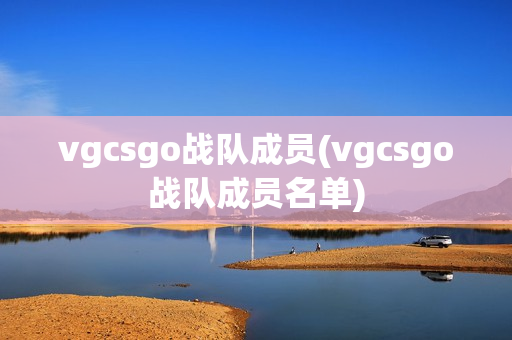 vgcsgo战队成员(vgcsgo战队成员名单)
